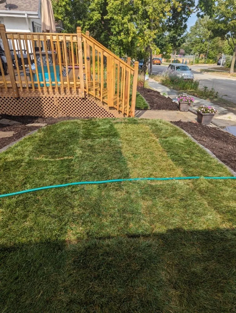 Local landscaping services for homes in Minneapolis, MN by Rosemarys Landscaping Consultant Services