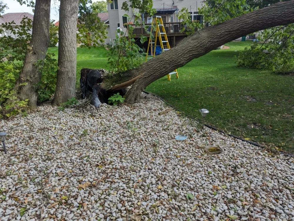 Professional landscaping services in Minneapolis, MN by Rosemarys Landscaping Consultant Services