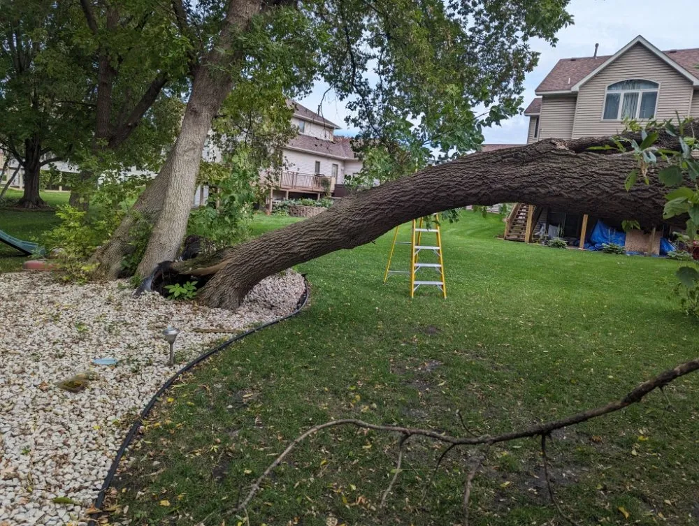 Affordable garden landscaping for residential properties across Minneapolis, MN - Rosemarys Landscaping Consultant Services