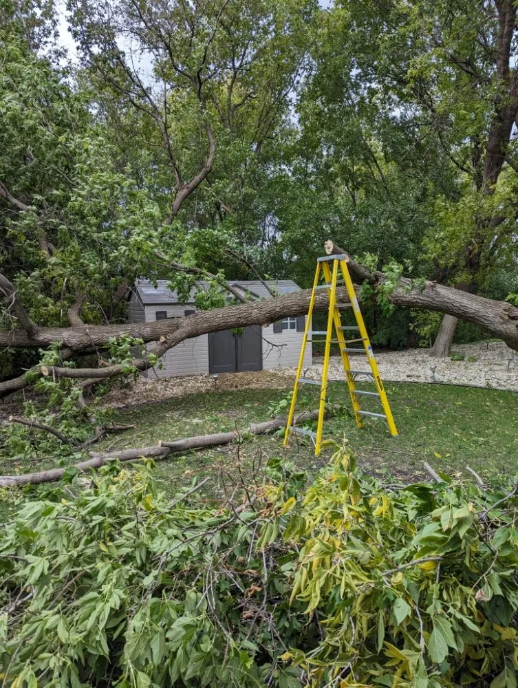 Local landscape design for homes across Minneapolis, MN - Rosemarys Landscaping Consultant Services