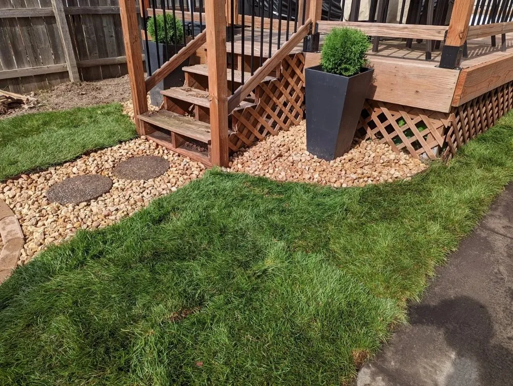 Top-rated residential landscaping experts serving Minneapolis, MN - Rosemarys Landscaping Consultant Services