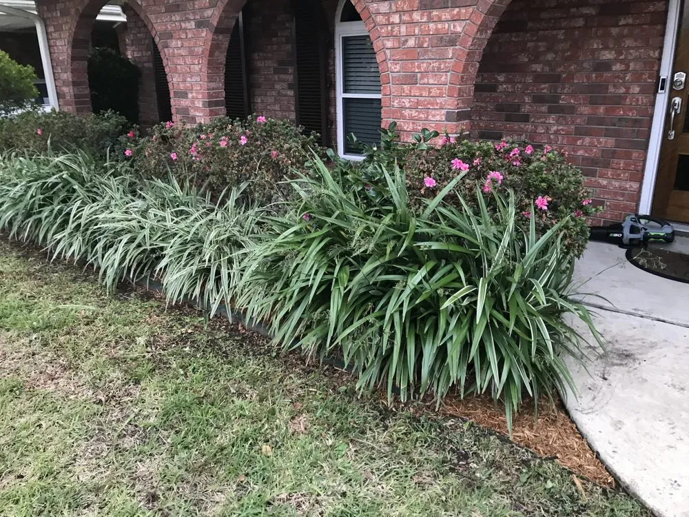 Local lawn mowing service near you across Metairie, LA - Rosemary’s Roots