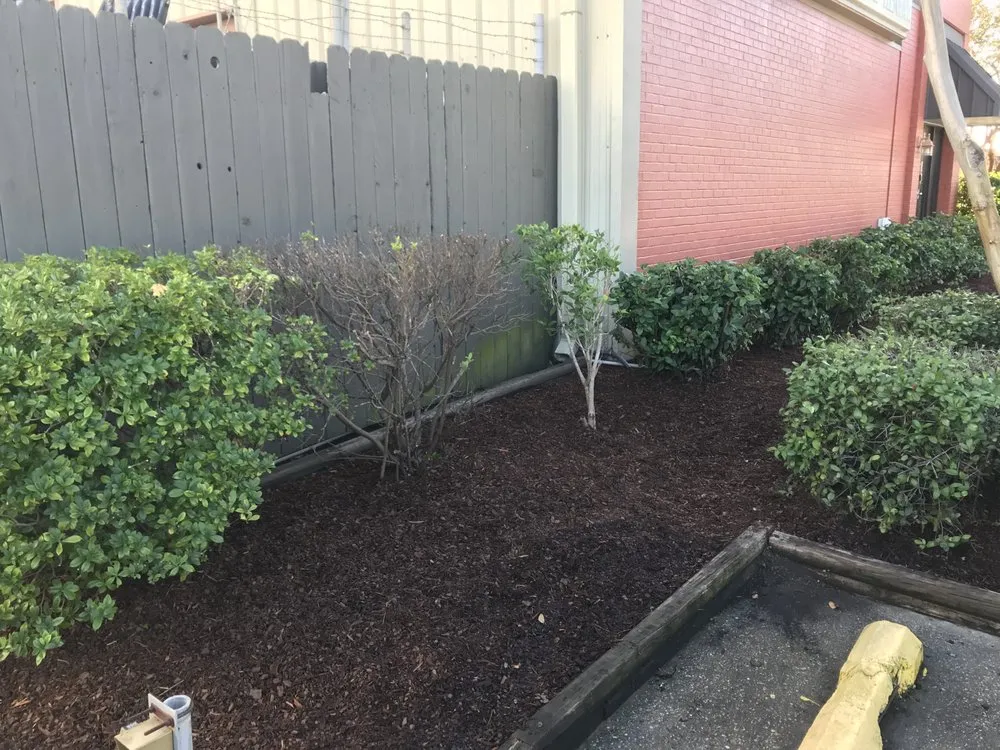 Affordable landscape installation in Metairie, LA - Rosemary’s Roots