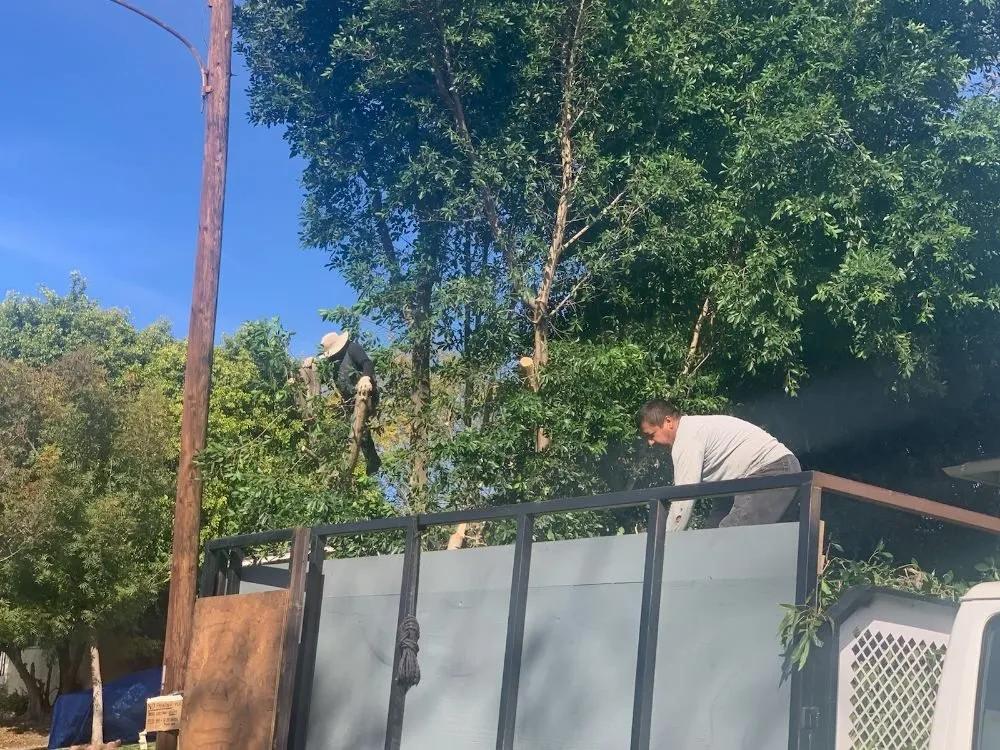 Local lawn mowing service in Pasadena, CA - Rosemberg Landscaping & Sprinkler Systems