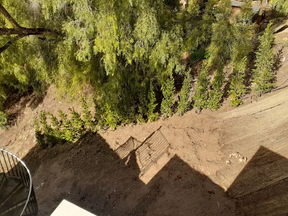 Affordable lawn mowing service in Pasadena, CA - Rosemberg Landscaping & Sprinkler Systems