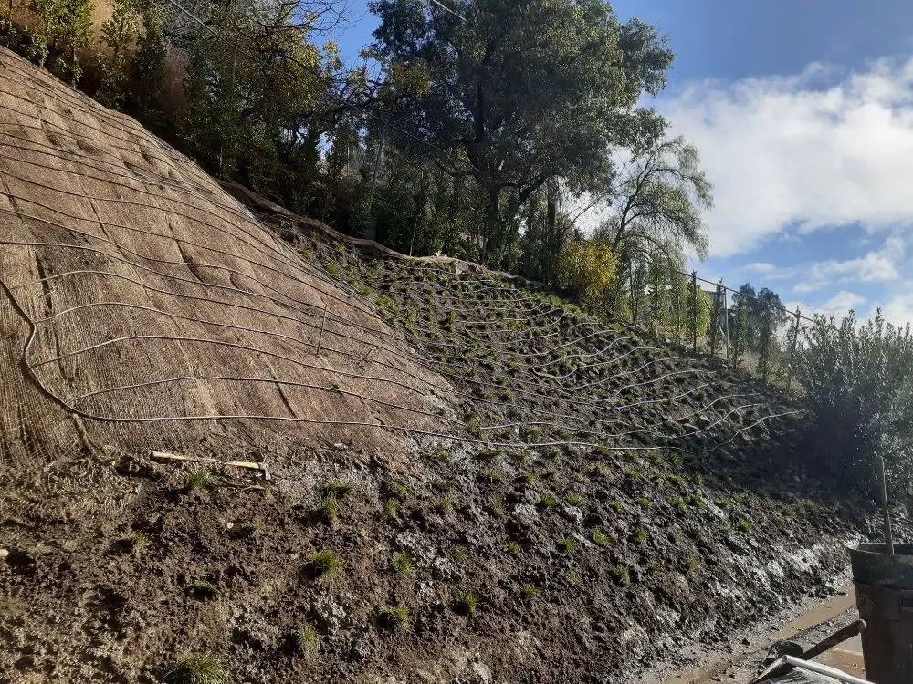 Affordable landscape installation for residential properties across Pasadena, CA - Rosemberg Landscaping & Sprinkler Systems