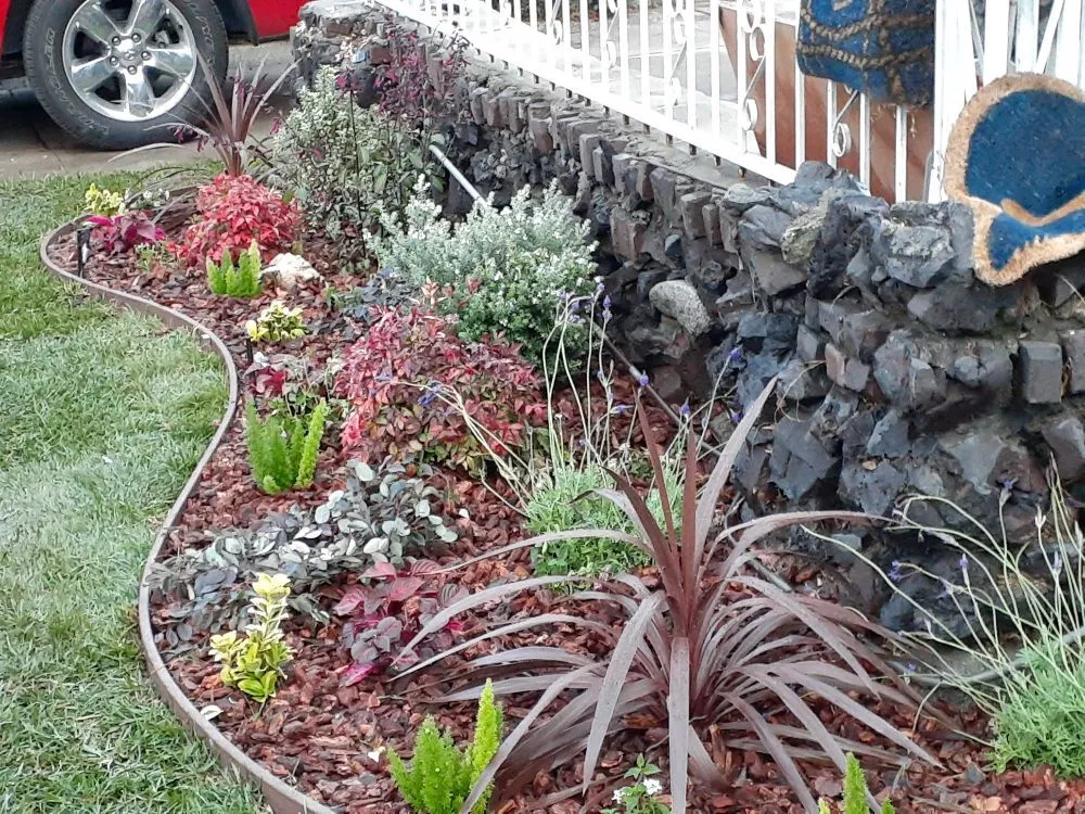 Local lawn mowing service in Pasadena, CA - Rosemberg Landscaping & Sprinkler Systems