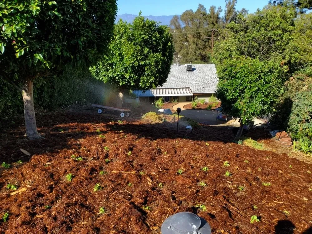 Top-rated landscape design in Pasadena, CA - Rosemberg Landscaping & Sprinkler Systems