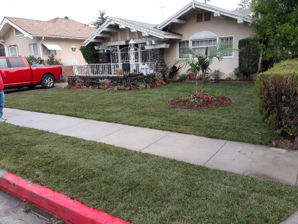 Top-rated lawn mowing service in Pasadena, CA by Rosemberg Landscaping & Sprinkler Systems