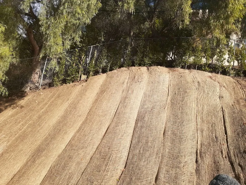 Top-rated yard maintenance for beautiful yards across Pasadena, CA - Rosemberg Landscaping & Sprinkler Systems