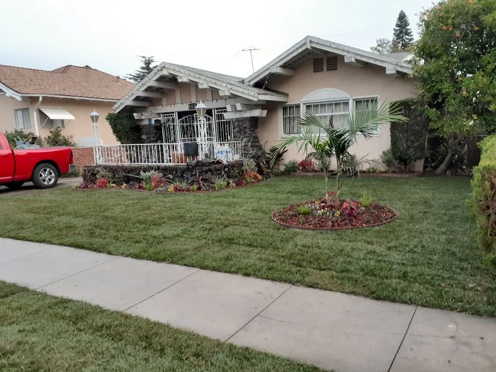 Local yard cleanup service in Pasadena, CA - Rosemberg Landscaping & Sprinkler Systems
