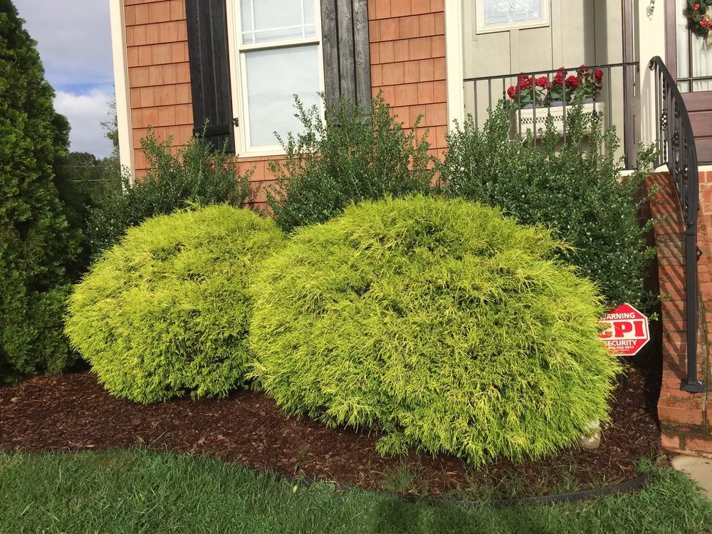 Affordable landscape design near you in Alexandria, VA by Rosemont Landscaping and Lawncare