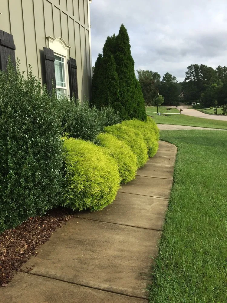 Local outdoor landscaping for year-round maintenance in Alexandria, VA by Rosemont Landscaping and Lawncare