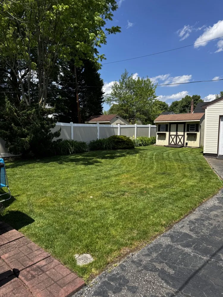 Affordable yard cleanup service experts serving Norwood, PA - Rosenberger Enterprises