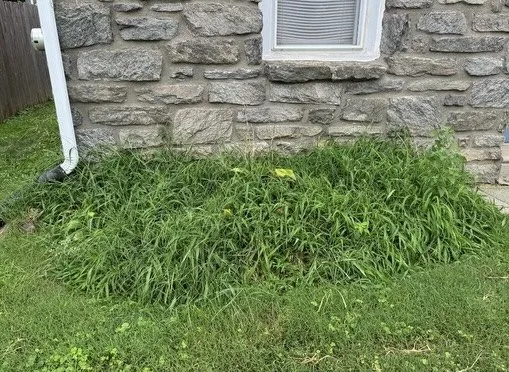 Reliable garden landscaping for outdoor upgrades in Norwood, PA by Rosenberger Enterprises