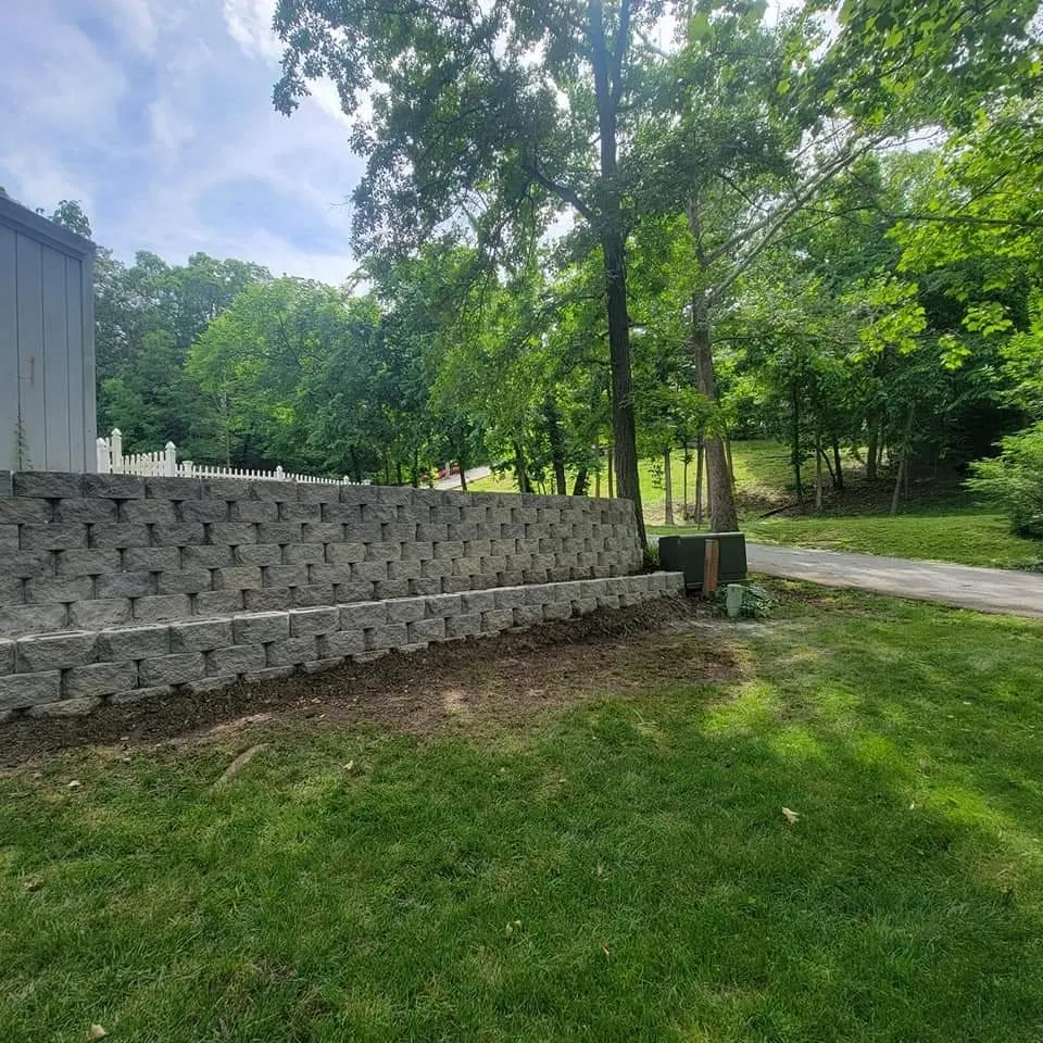 Expert yard cleanup service in Rockaway Beach, MO - Rosendo Marin