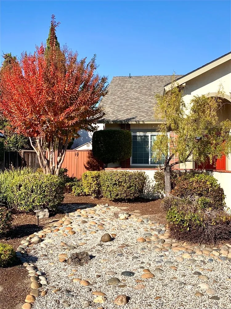 Local yard maintenance in San Mateo, CA by Rosendo S Solorio Full Service Gardening