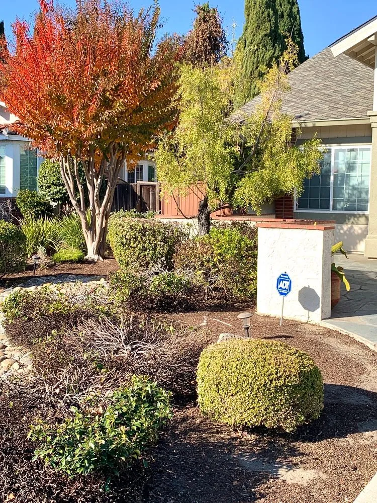 Top-rated lawn mowing service in San Mateo, CA by Rosendo S Solorio Full Service Gardening