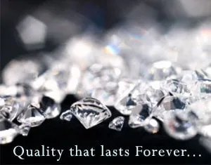 Local garden landscaping in Granbury, TX - Rose's Home Services