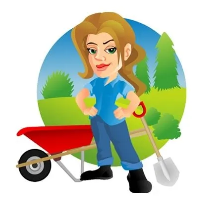 Expert lawn care service in Lewisburg, TN by Roses Landscapes