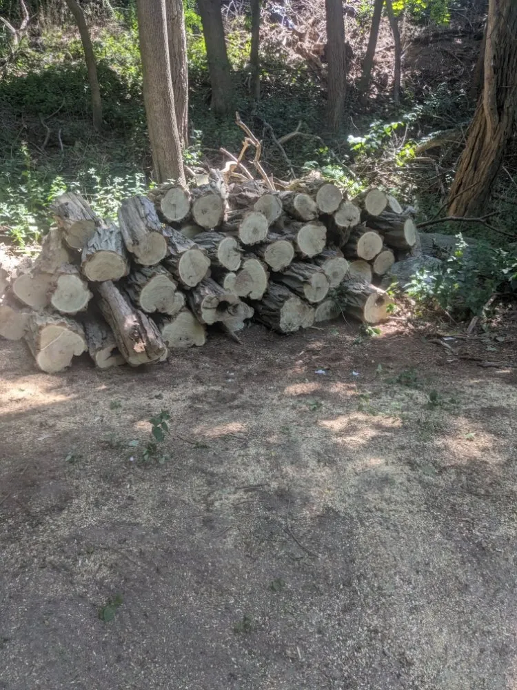 Custom outdoor landscaping experts serving Barnstable, MA - Rose's Landscaping & Roof cleaning