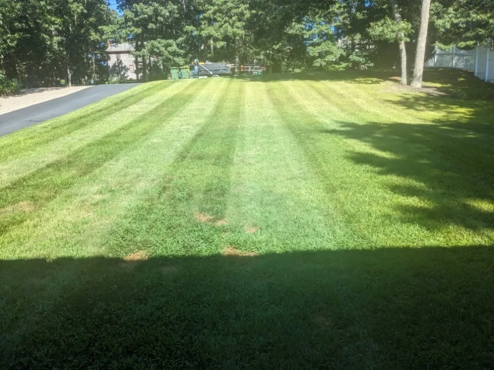 Reliable yard maintenance for year-round maintenance across Barnstable, MA - Rose's Landscaping & Roof cleaning