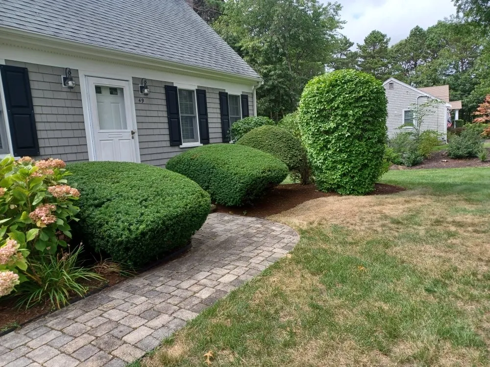 Top-rated residential landscaping in Barnstable, MA - Rose's Landscaping & Roof cleaning