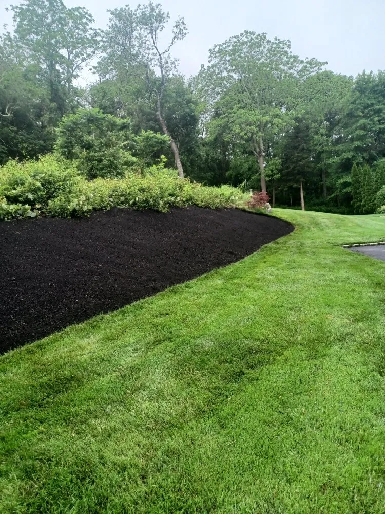 Professional yard cleanup service experts serving Barnstable, MA - Rose's Landscaping & Roof cleaning