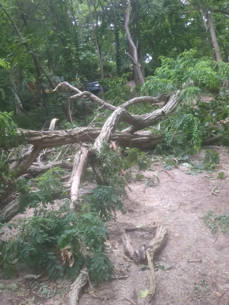 Local yard cleanup service in Barnstable, MA - Rose's Landscaping & Roof cleaning