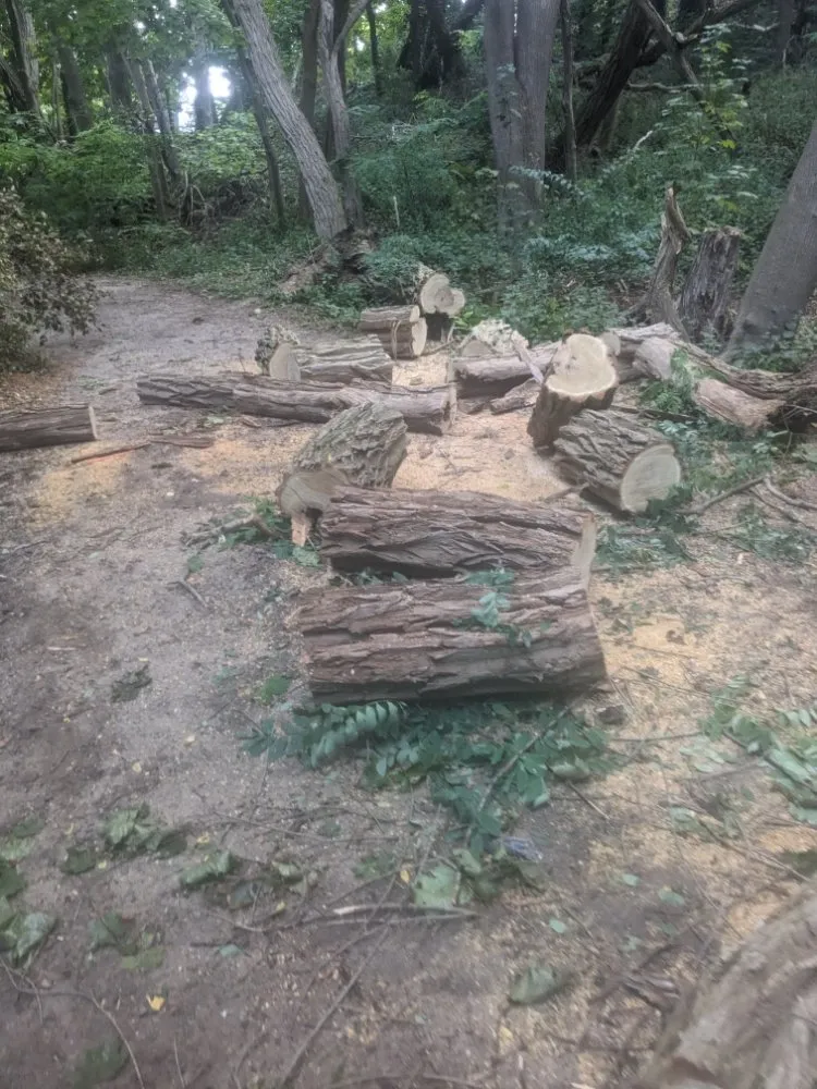 Professional garden landscaping for year-round maintenance across Barnstable, MA - Rose's Landscaping & Roof cleaning