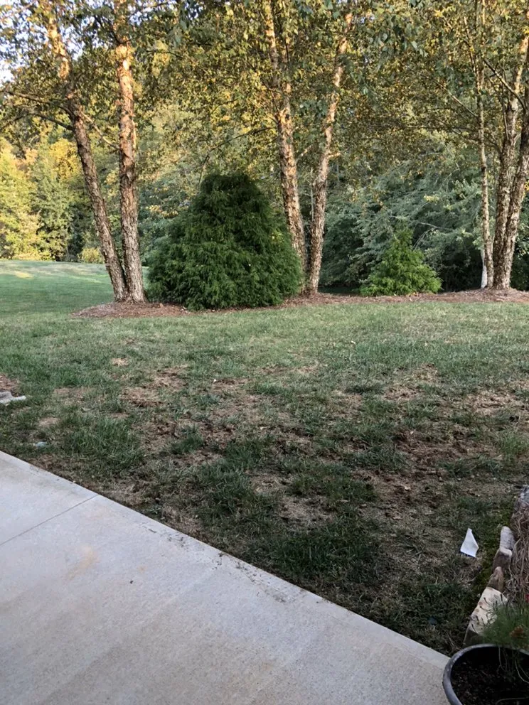 Trusted garden landscaping in Lewisville, NC by Rose’s Landscaping