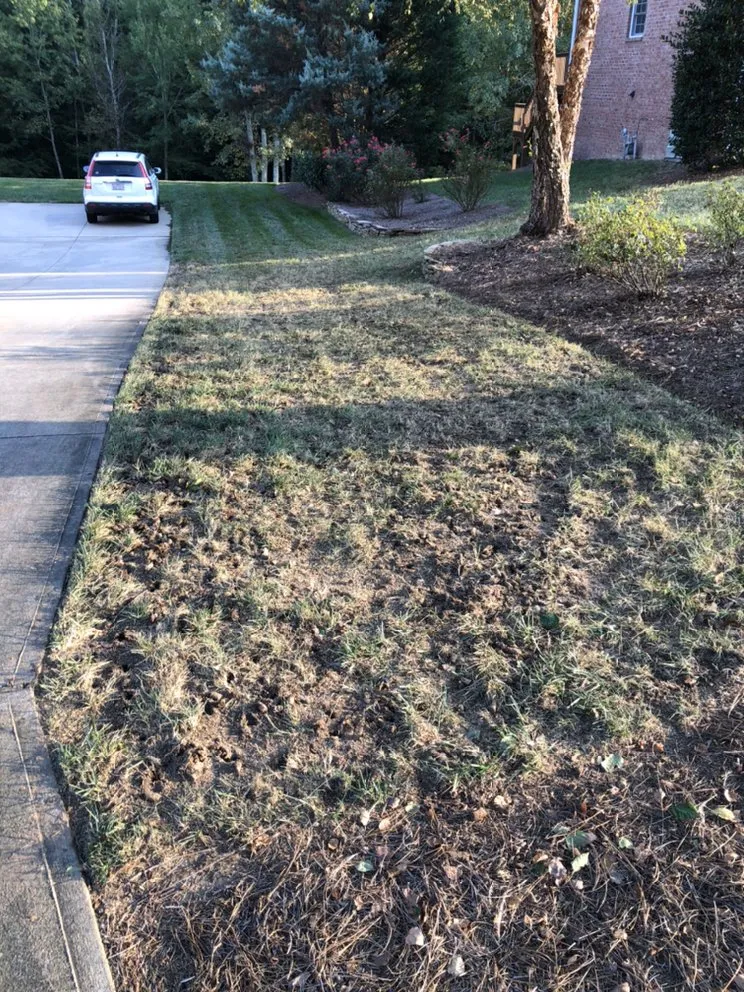 Trusted landscape design in Lewisville, NC - Rose’s Landscaping