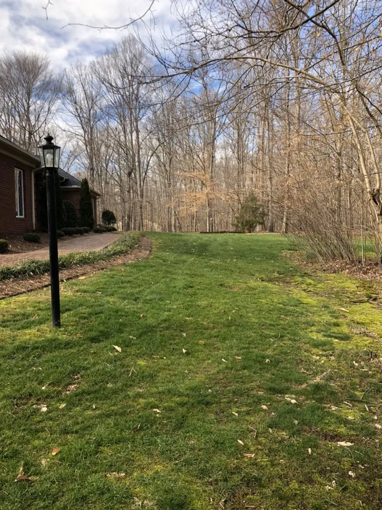 Reliable residential landscaping for outdoor upgrades in Lewisville, NC by Rose’s Landscaping