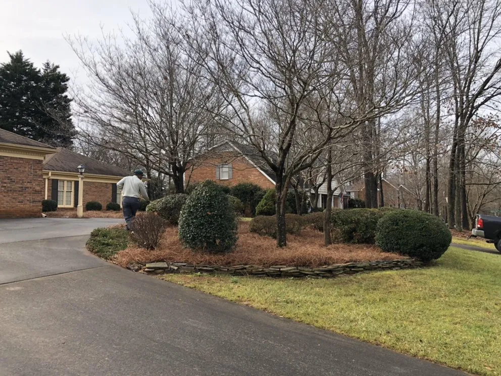 Top-rated landscaping services for homes in Lewisville, NC by Rose’s Landscaping