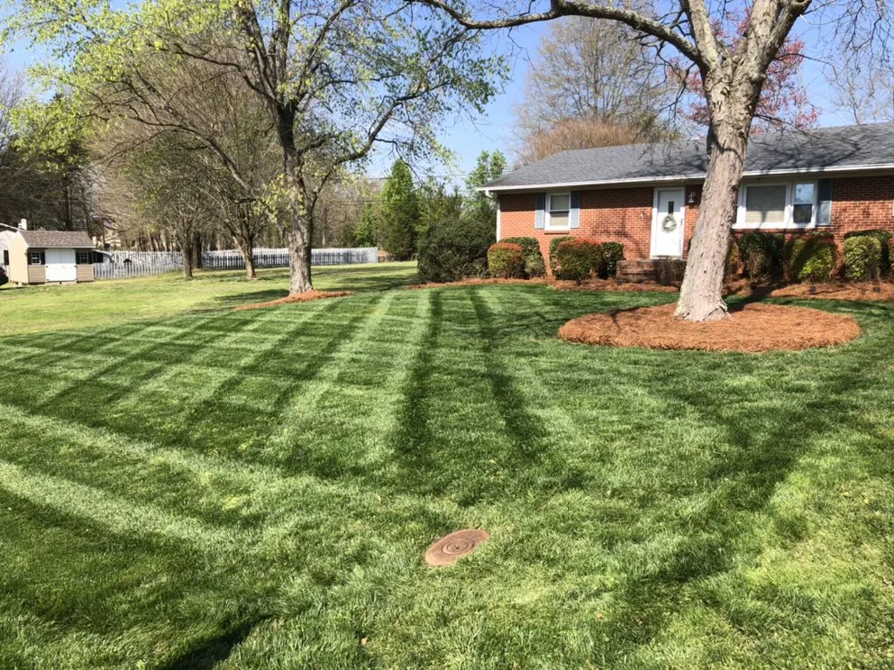 Local yard cleanup service for beautiful yards across Lewisville, NC - Rose’s Landscaping