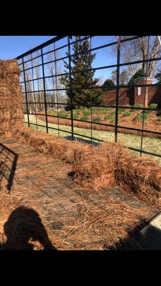 Trusted lawn care service in Lewisville, NC - Rose’s Landscaping