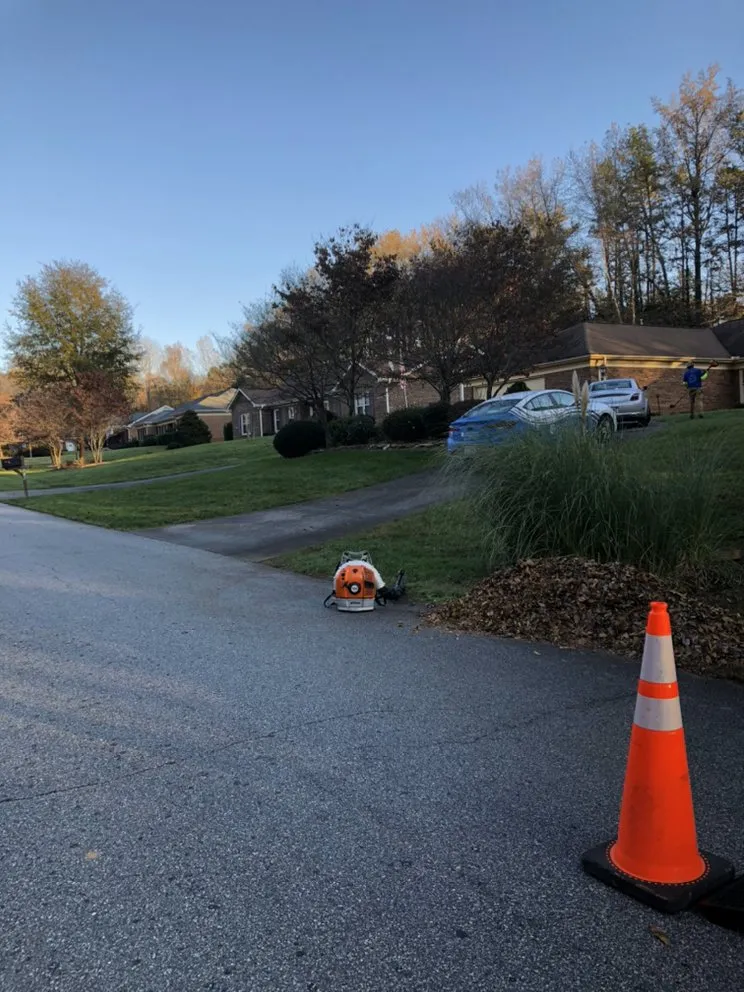 Expert landscaping services with custom design across Lewisville, NC - Rose’s Landscaping