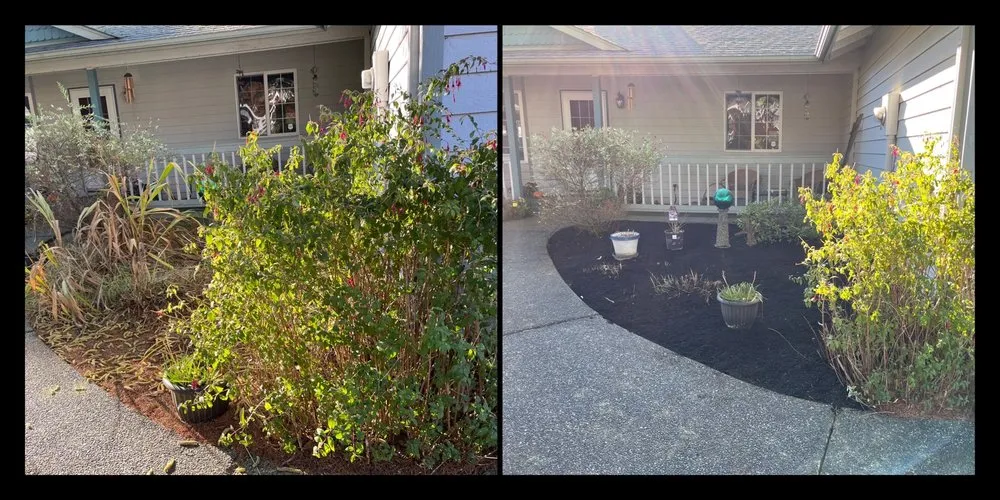 Reliable lawn mowing service experts serving Tacoma, WA - Roses Landscaping