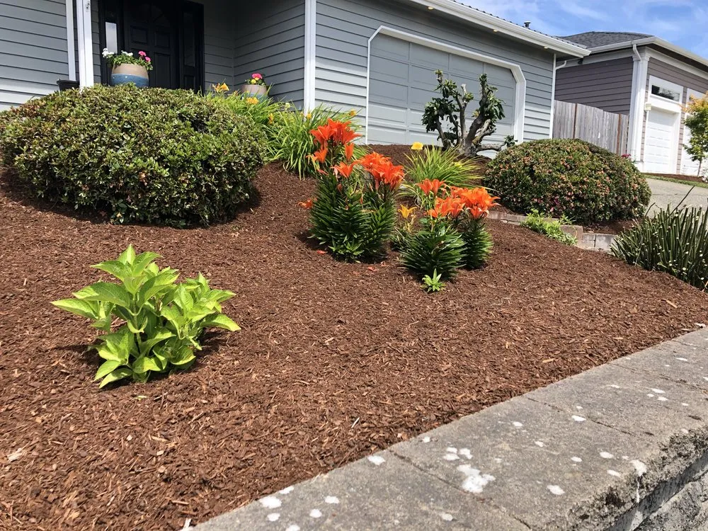 Local lawn care service for homes in Tacoma, WA by Roses Landscaping