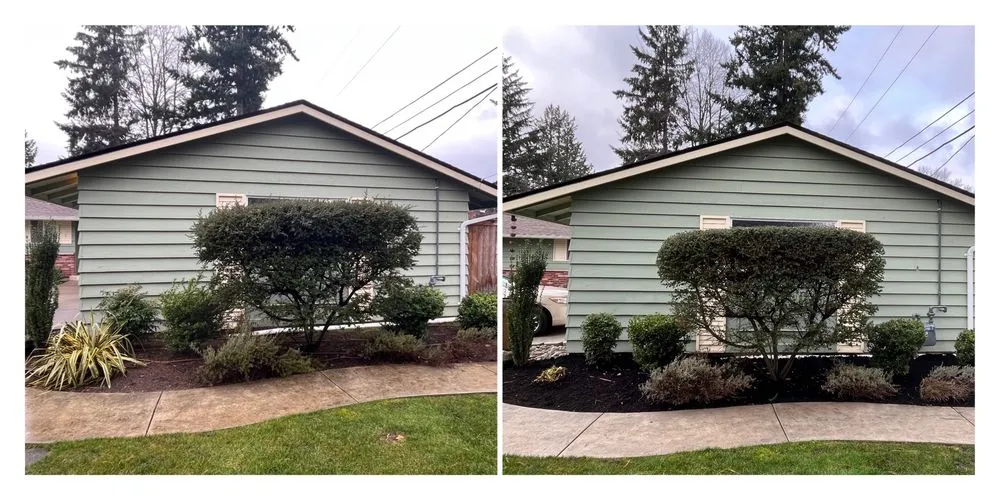 Professional yard maintenance in Tacoma, WA by Roses Landscaping