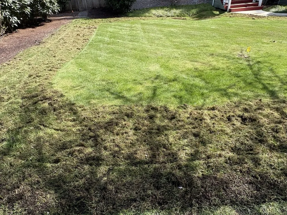 Trusted yard cleanup service in Tacoma, WA - Roses Landscaping