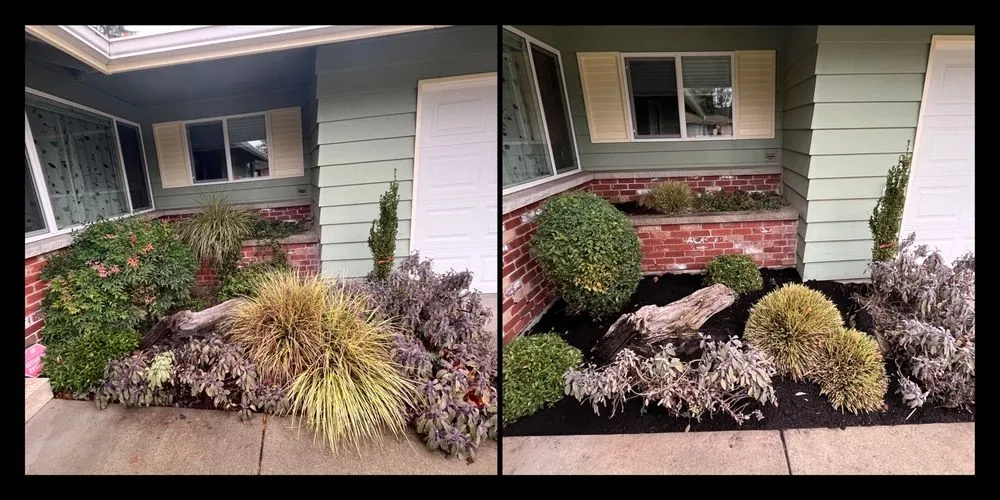 Expert garden landscaping in Tacoma, WA - Roses Landscaping