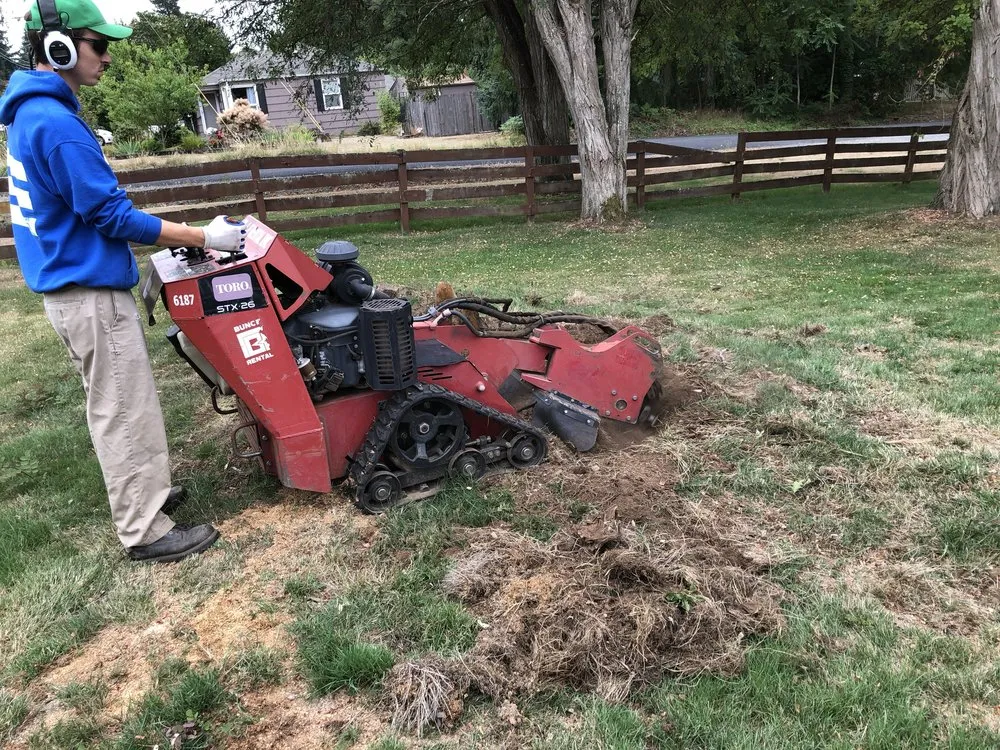 Local outdoor landscaping in Tacoma, WA by Roses Landscaping