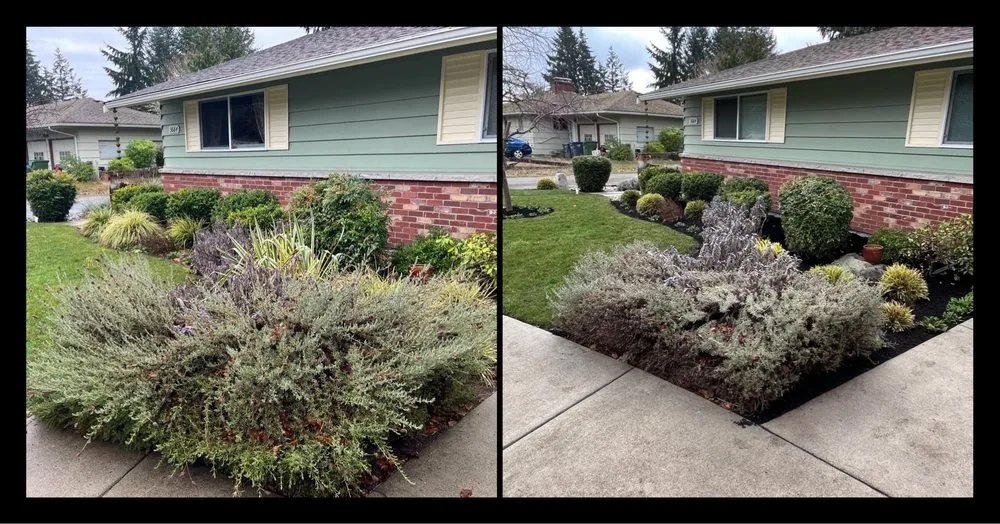 Affordable lawn care service for homes across Tacoma, WA - Roses Landscaping