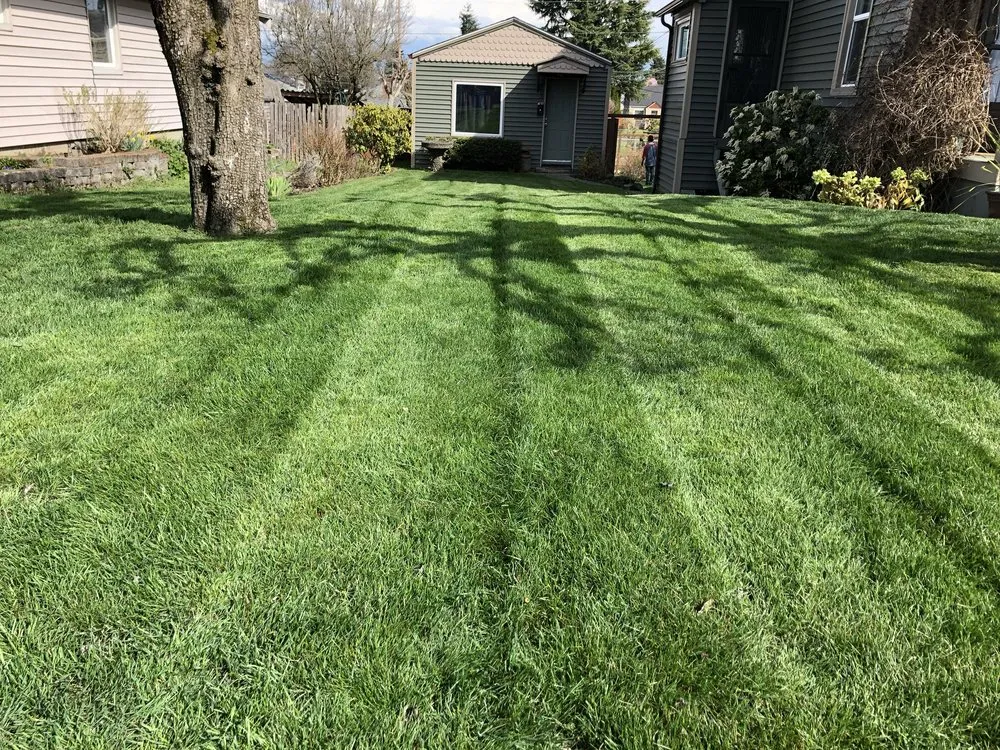 Professional residential landscaping experts serving Tacoma, WA - Roses Landscaping