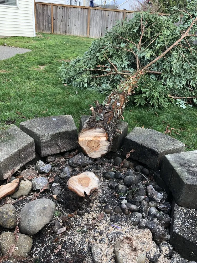 Trusted garden landscaping experts serving Tacoma, WA - Roses Landscaping