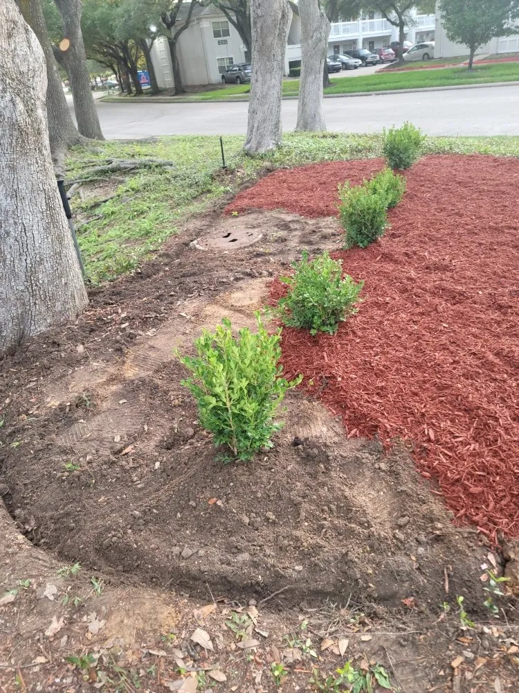 Custom landscaping services with custom design in Webster, TX by Roses Landscaping