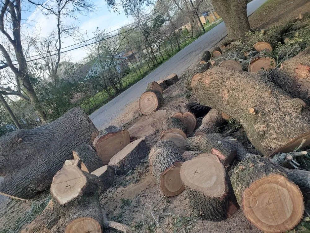 Reliable yard cleanup service in Webster, TX by Roses Landscaping