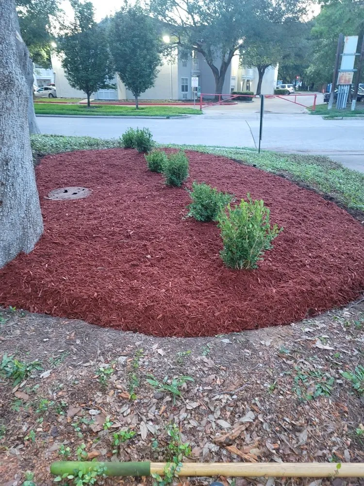 Top-rated residential landscaping experts serving Webster, TX - Roses Landscaping