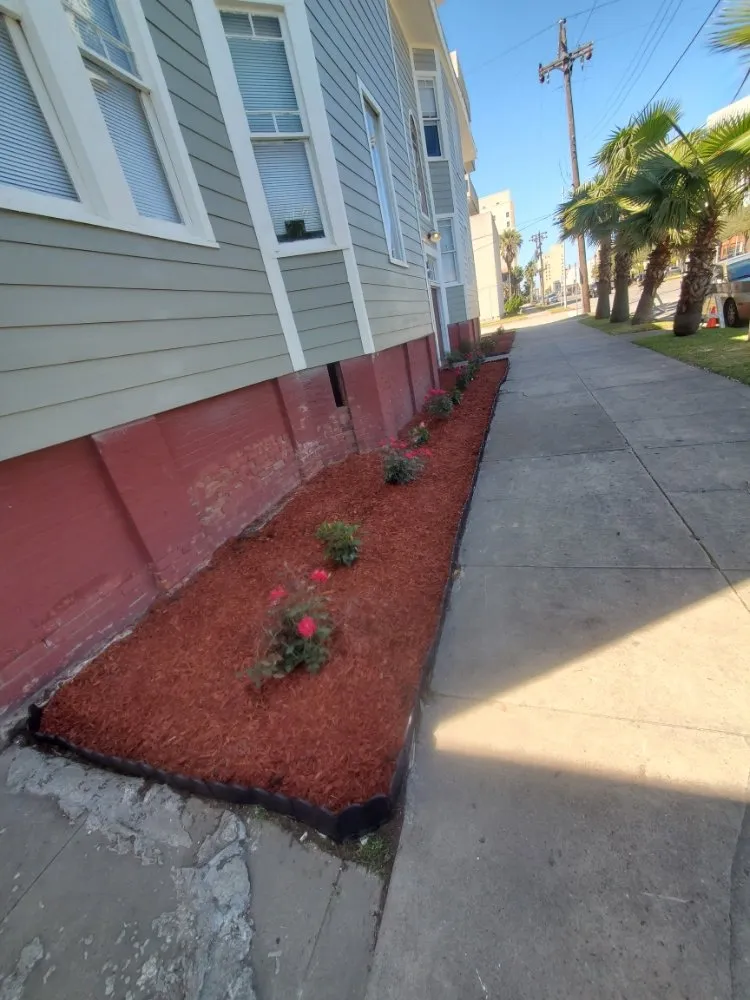 Top-rated garden landscaping for residential properties across Webster, TX - Roses Landscaping